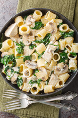Mezze maniche pasta with chicken, mushrooms and spinach in creamy cheese sauce close-up in a plate on the table. Vertical top view from above