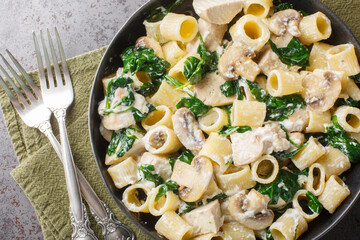 Italian pasta with chicken breast, mushrooms and spinach in creamy cheese sauce close-up in a plate on the table. Horizontal top view from above - obrazy, fototapety, plakaty