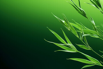 renewable energy light bulb with green energy, Earth Day or environment protection Hands protect forests that grow on the ground and help save the world, solar panels