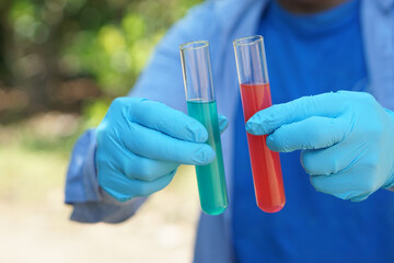 Closeup hands wears blue gloves holds test tubes that contain red and blue liquid substances...