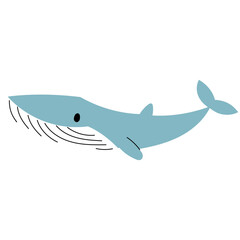 hand drawn blue whale