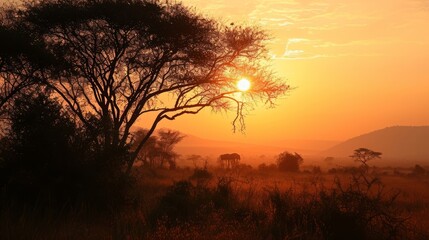 Sunrise in Kenya. Sky is a bright palette of warm shades. Breathtaking picturesque scenery on the Kenyan landscape