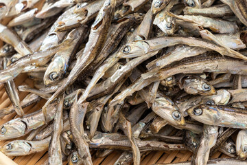たくさんの煮干し
