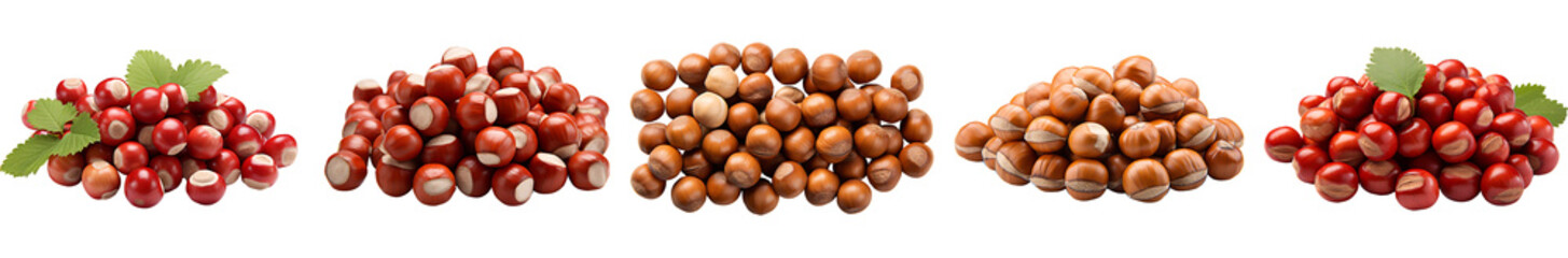 Collection of hazelnuts on a transparent png background