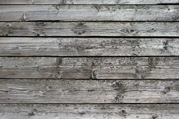 Obraz premium Surface of the old fence