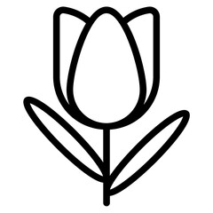 tulip