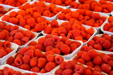 Fresh raspberries for sale at market, boxes full of raspberries, organic and delicious red raspberry