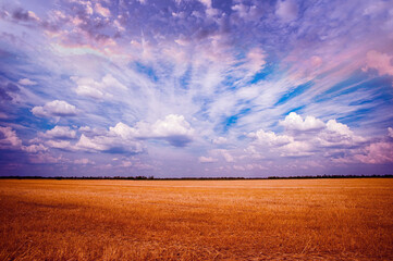 field and sky, nature wallpaper,  beautiful nature background wallpaper 