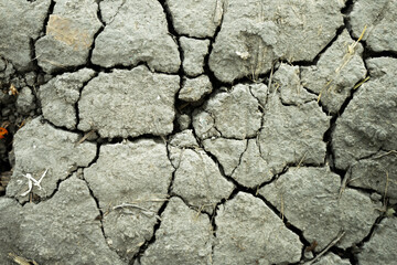 Obraz premium dry cracked earth