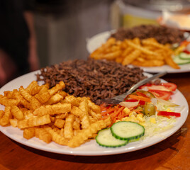 Lamb shawarma on a plate with french fries and salad.