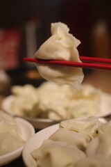 Chinese dumpling, photoed in Jinguyuan, a famous dumpling restaurant in Beijing