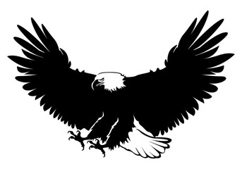 A wild bird eagle flies with outstretched wings. Vector drawing linear sketch isolated on white background.