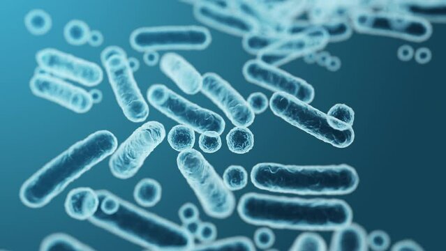 Enterobacteriaceae, gram-negative rod-shaped bacteria, part of intestinal microbiome and causative agents of different infections, 3D rendering. Escherichia coli, Klebsiella, Enterobacter and other