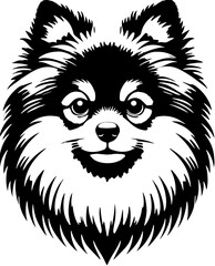 Pomeranian Mix icon