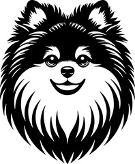 Fototapeta premium Pomeranian Mix icon 11