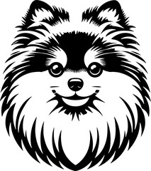 Pomeranian Mix icon 1