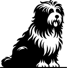 Fototapeta premium Polish Lowland Sheepdog icon 13