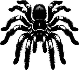 Pink Toed Tarantula icon 13