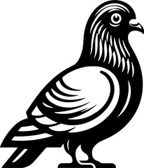 Pigeon Bird icon 4