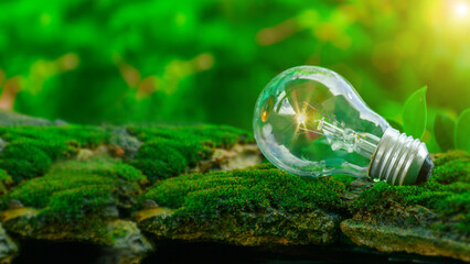 Concepts Energy saving, environmental protection. Light bulb on natural moss surface. Net Zero....