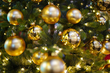 Obraz na płótnie Canvas Sparkling X-mas decor. Golden balls on conifer tree. Merry Christmas and Happy New Year postcard. Christmas Balls Decoration.