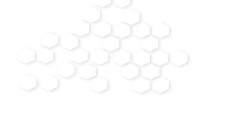 Background with hexagons . Abstract background with lines . white texture background . hexagon abstract background. Surface polygon pattern with glowing hexagon paper texture and futuristic business.