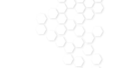 Background with hexagons . Abstract background with lines . white texture background . hexagon abstract background. Surface polygon pattern with glowing hexagon paper texture and futuristic business.