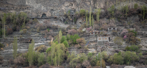 Houses in a valley with green nature and rocky hills in Ladakh, India. Ladakh's beautiful mountain landscape on the river shore.