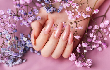 Female hands with pink nail design  hold gypsophila flowers.