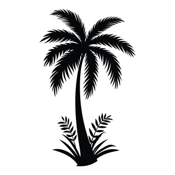 A silhouette of Date Palm tropical tree. Silhouette vector illustration, isolated on white background.