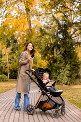 Young woman with cute baby girl in baby stroller using mobile phone at the autumn park