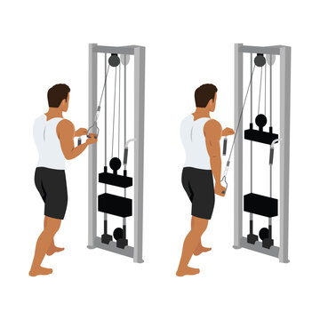 Man doing cable one arm reverse grip tricep pushdown exercise. Flat vector illustration isolated on white background