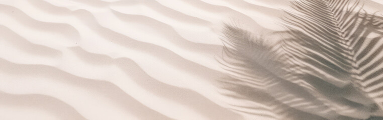 Panorámica de playa de arena con sombra de hojas de palmeras al sol. - obrazy, fototapety, plakaty