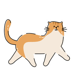 Funny Cat Doodle Set