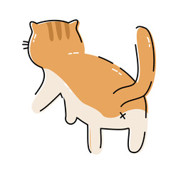 Funny Cat Doodle Set