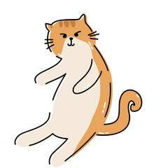 Funny Cat Doodle Set