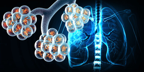 Human lungs with alveoli. 3d illustration.. - obrazy, fototapety, plakaty