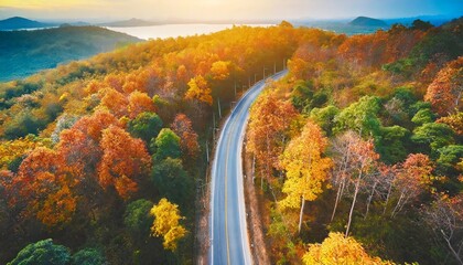aerial view of autumn forest with long road passing by nature banner background generative ai