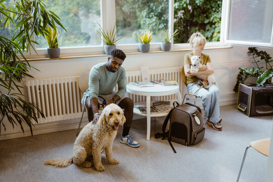 Man and woman with dogs sitting in waiting at veterinary clinic