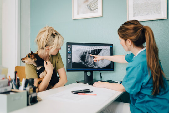 Female veterinarian showing x-ray on computer to woman with dog in doctor's office