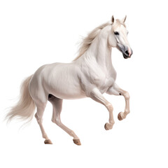 Elegant horse isolated on white background. AI generated. PNG