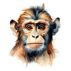 Funny monkey portrait isolated on transparent background. ai generated. PNG