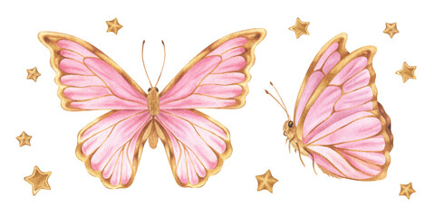 Butterfly Set Watercolor illustration. Hand drawn clip art on white isolated background. Drawing of insect with pink and gold wings. Painting of flying moth for baby birthday decorations