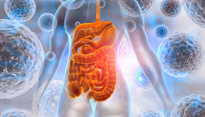 Human digestive system on scientific background. 3d illustration. - obrazy, fototapety, plakaty