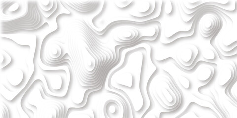 Abstract design with black and white abstract papercut and multi-layer cutout geometric pattern on vector Topographic canyon geometric map relief texture with curved layers beautiful design.