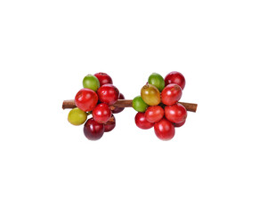  coffee beans transparent png