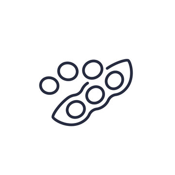 soybeans line icon on white, soy beans vector