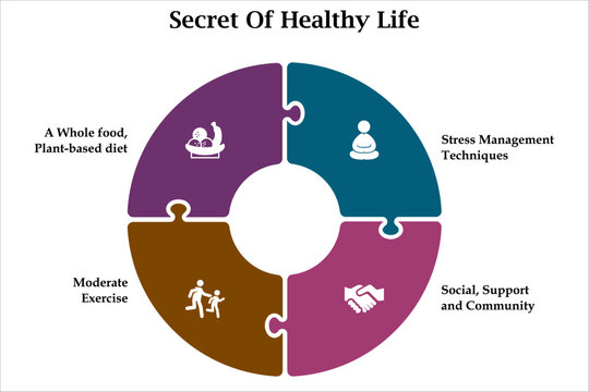 Secret of Healthy Life - A whole food, plant-based diet, Stress management techniques, Moderate exercise, Social, Support and community. Infographic template with icons