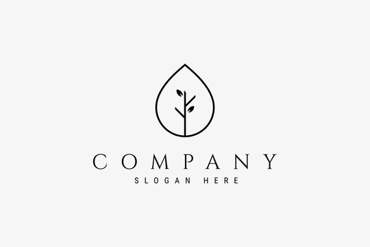 Leaf water drop Logo design with simple minimalist design style