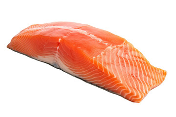 A piece of salmon standing on a white background